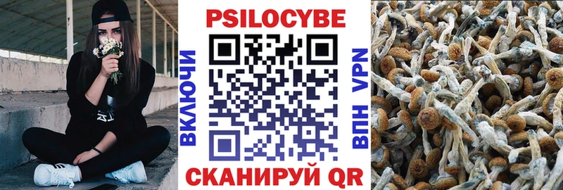 Купить  Красноярск  Галлюциногенные грибы Psilocybine cubensis 